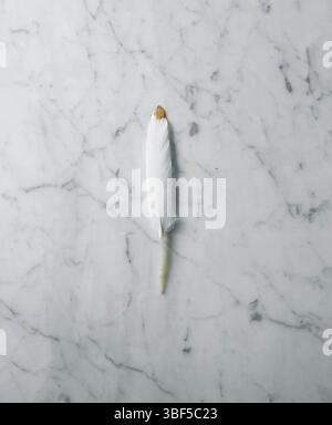 Une plume blanche avec une pointe peinte or sur une surface lisse en marbre. Banque D'Images