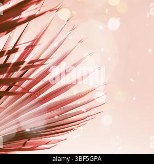 Branches de palmier sous le soleil dans ton ciel couleur corail avec bokeh Banque D'Images