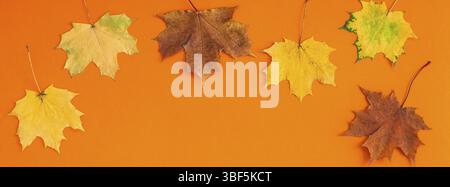 Creative haut voir télévision lay concept automne composition. Les feuilles d'automne lumineux orange papier copie d'arrière-plan de l'espace. À l'automne que bannière longue et large Banque D'Images