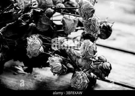 Photo noir et blanc de roses séchées, bouquet fané de petites fleurs sur une surface en bois, symbole du fanage et du temps Banque D'Images