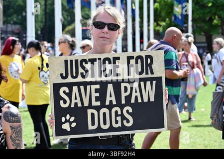 Londres, Royaume-Uni. 31 mai 2025. Démonstration de bien-être animal sur la place du Parlement. Des activistes animaliers se sont rassemblés sur la place du Parlement pour réclamer justice pour les chiens innocents de Save a Paw UK Credit : michael melia/Alamy Live News Banque D'Images