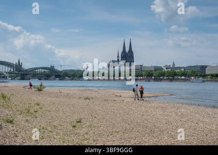 Der Rhein BEI Köln Hat im mai extrêmes Niedrigwasser C der gesunkene Wasserstand legt Uferbänke frei und verändert das gewohnte Stadtpanorama. *** Le Rhin près de Cologne a des eaux extrêmement basses en mai - le niveau d'eau abaissé expose les rives et change le panorama familier de la ville. Nordrhein-Westfalen Deutschland, Allemagne GMS19341 Banque D'Images