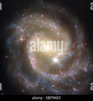 Cette image optimisée de Hubble montre NGC 3507, une galaxie spirale barrée à 46 millions d'années-lumière dans le Lion. Bien que photographié seul, il fait partie d'une paire avec NGC 3501, situé à l'extérieur du cadre. Les bras de NGC 3507 s'enroulent à partir d'une barre centrale, brillants avec des étoiles bleues, des régions formant des étoiles roses et des voies de poussière sombres. Une étoile lumineuse de premier plan de notre voie lactée se trouve à proximité. En arrière-plan, les galaxies lointaines apparaissent sous forme de minuscules taches jaunes ou oranges, offrant un aperçu de l'Univers primitif. Crédit : ESA/Hubble & NASA, D. Thilker Banque D'Images