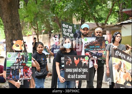 New Delhi, Inde. 31 mai 2025. NEW DELHI, INDE - MAI 31 : les membres du mouvement vegan Inde organisent une manifestation pour les droits des animaux, au Jantar Mantar, le 31 mai 2025 à New Delhi, Inde. (Photo de Arvind Yadav/Hindustan Times/Sipa USA ) crédit : Sipa USA/Alamy Live News Banque D'Images