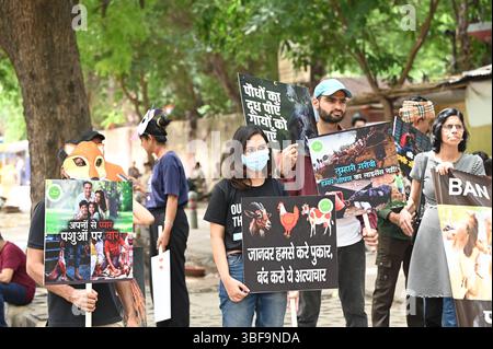 New Delhi, Inde. 31 mai 2025. NEW DELHI, INDE - MAI 31 : les membres du mouvement vegan Inde organisent une manifestation pour les droits des animaux, au Jantar Mantar, le 31 mai 2025 à New Delhi, Inde. (Photo de Arvind Yadav/Hindustan Times/Sipa USA ) crédit : Sipa USA/Alamy Live News Banque D'Images