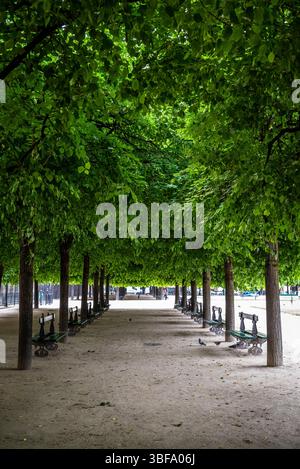 Place des Vosges, la plus ancienne place aménagée de Paris, bordée d'arbres et de maisons en briques rouges, construite par Henri IV en 1612. , Paris, France Banque D'Images