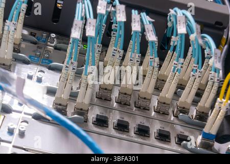 Image en gros plan haute résolution présentant les câbles à fibre optique connectés à l'équipement de réseau, mettant l'accent sur la technologie et la transmission de données dans le moderne Banque D'Images