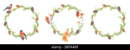 Ensemble de branches d'arbre de Noël avec des cônes, des écureuils et des taureaux couronne de forêt à cadre rond. Eléments faits à la main à l'aquarelle. Pour tissu, papier peint Banque D'Images