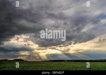 Paysage dramatique avec des nuages sombres et des rayons crépusculaires du soleil qui traversent les trous dans le ciel. La lumière éclaire le champ vert et l'horizon Banque D'Images