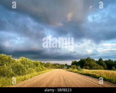 Un chemin de terre paisible et tranquille serpente à travers une végétation luxuriante, le tout sous un ciel sombre et dramatique en toile de fond Banque D'Images