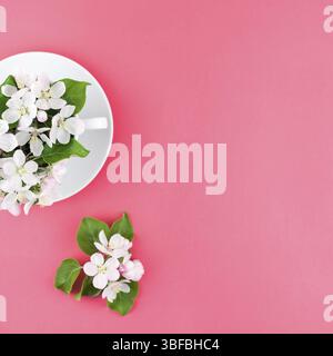 Télévision créative concept laïcs Vue de dessus de tasse à café et fleurs de pommier blanc sur fond rose avec copie espace dans un style minimaliste, modèle f Banque D'Images