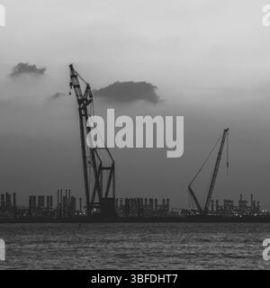 Port maritime de DUBAÏ, ÉMIRATS ARABES UNIS. Silhouette de grues sur le fond de ciel Banque D'Images