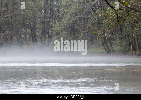 Source de la rivière Bosna, Sarajevo-Ilidza. Une rivière Bosna tranquille, avec une douce brume flottant sur sa surface, encadrée par un feuillage d'automne vibrant, créa Banque D'Images
