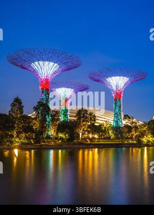 6 février 2020 : paysage de jardins près de la baie avec Flower Dome, Cloud Forest, et Supertree Grove dans la baie de la marina dans la région centrale de Singapo Banque D'Images