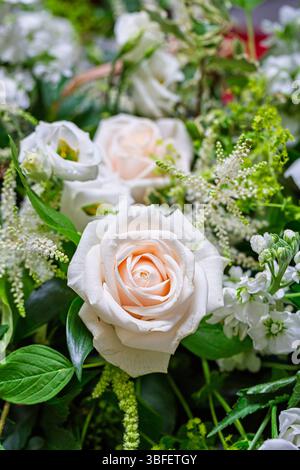 Vue rapprochée d'un bouton de rose parfait teinté d'abricot crème pâle dans un arrangement floral de bouquet pour une occasion spéciale comme un mariage ou la fête des mères Banque D'Images