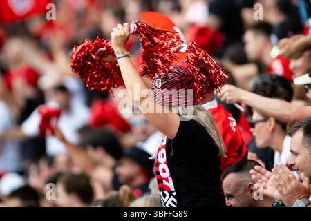 Toulouse, France. 01 juin 2025. Fans de Toulouse lors du match de rugby à xv du championnat de France Top 14 entre le stade Toulousain (Toulouse) et LE LOU Rugby (Lyon) le 1er juin 2025 au stade Ernest Wallon de Toulouse - photo Nathan Barange/DPPI crédit : DPPI Media/Alamy Live News Banque D'Images