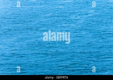 Une surface de mer calme avec des vagues de lumière contre la lumière du jour est la toile de fond ou la texture parfaite Banque D'Images