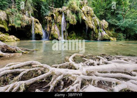 Cascade de tuf et racines d'arbres exposées, Cascade des tufs, les planches-pres-Arbois, Jura, France Banque D'Images