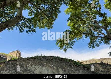 Vue panoramique sur les arbres verts et les formations rocheuses sous le ciel bleu en Géorgie, près de la zone de la ville de grotte antique. Personne. Banque D'Images