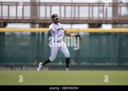 Bradenton, FL : le deuxième joueur des Marauders de Bradenton, Jeral Toledo (32), repousse et repousse les Lakeland Flying Tigers désignés Woody Hadeen (5) à la première base de la première manche lors d'un match MiLB le 1er juin 2025 au LECOM Park. Les Flying Tigers battent les Marauders 5-1. (Kim Hukari/image du sport) Banque D'Images