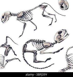 Modèle sans couture avec squelettes d'animaux. Animaux domestiques et chats. Squelettes anatomiques. Vétérinaire et Halloween. Illustration aquarelle sans Banque D'Images
