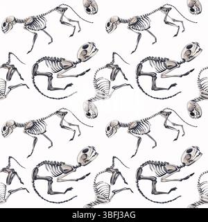 Modèle sans couture avec squelettes d'animaux. Animaux domestiques et chats. Squelettes anatomiques. Vétérinaire et Halloween. Illustration aquarelle sans Banque D'Images