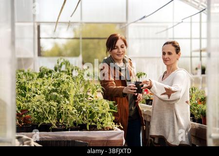 Deux femmes parlant en se tenant debout parmi les plantes dans une serre. Banque D'Images