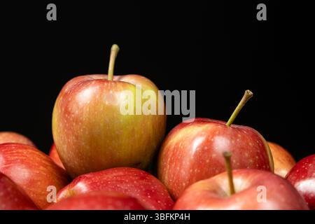 Groupe de pommes entières rouges biologiques fraîches sur fond noir Banque D'Images