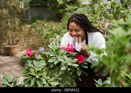 Femme afro-américaine avec des tresses sourit tout en tendant à des fleurs vibrantes dans une serre. Banque D'Images
