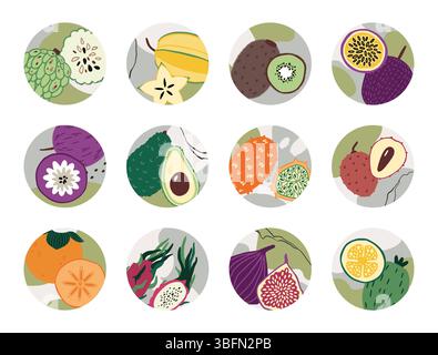 Icônes de fruits. Autocollants ronds créatifs. Kiwi frais tropicaux, fruit du dragon, durian et papaye, étiquette et emblème. Produit exotique. Illustration isolée de style plat de dessin animé botanique décoratif Illustration de Vecteur