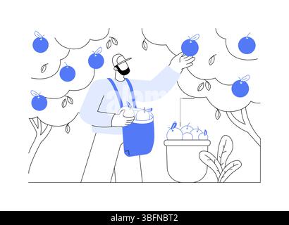 Illustrations vectorielles isolées de dessins animés de culture de fruits d'agrumes. Illustration de Vecteur