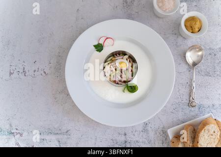 Un mélange vibrant de concombres frais, radis, œufs durs, jambon, crème sure, l'aneth, le persil, incarne magnifiquement l'essence de l'Okroshka Banque D'Images