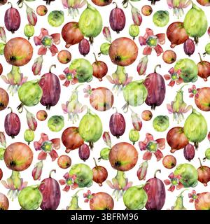 Groseille Currant éparpillé des baies de jardin, fleurs dans des gouttes de rosée d'eau. Modèle isolé sans couture dessiné à la main à l'aquarelle. Conserves pour la maison, textile Banque D'Images