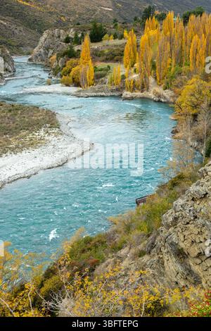 Marcher sur la piste Peregrine Loop Track un jour d'automne, Gibbston Valley, Queenstown, Nouvelle-Zélande Banque D'Images