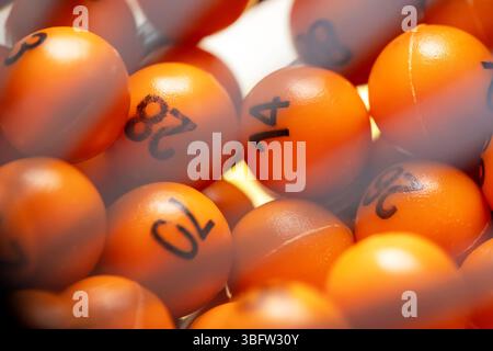 Macro gros plan de boules de loterie numérotées orange symbolisant le hasard, le jeu, le hasard et la probabilité dans un bingo ou une boule en plastique brillante de machine à dessiner Banque D'Images