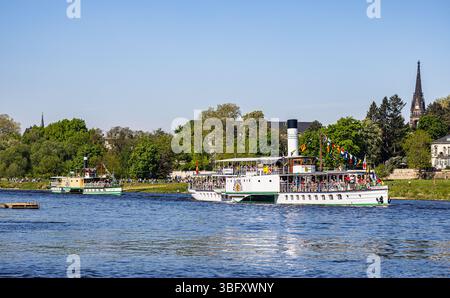 Dresde, Allemagne, 1er mai 2025 : le bateau à aubes Dresden roule devant le bateau à aubes Krippen lors du traditionnel défilé de la flotte au St Banque D'Images