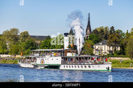 Dresde, Allemagne, 1er mai 2025 : le bateau à aubes Dresde au traditionnel défilé de la flotte au début de la saison des bateaux à vapeur saxons. (Photo par André Banque D'Images
