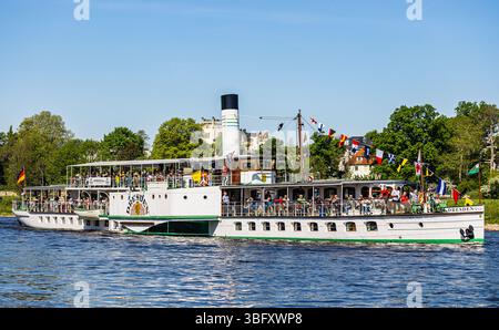 Dresde, Allemagne, 1er mai 2025 : le bateau à aubes Dresde au traditionnel défilé de la flotte au début de la saison des bateaux à vapeur saxons. (Photo par André Banque D'Images