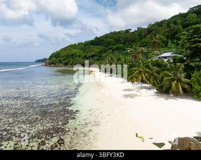 Plage de sable avec palmiers et eau turquoise. Seychelles, Mahé. Banque D'Images