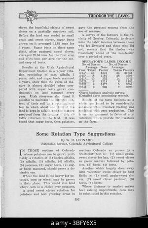 La page 392 du 1926 'Through the Leaves' se concentre sur les études écologiques, offrant un index complet des sujets des pages 532-539. Banque D'Images