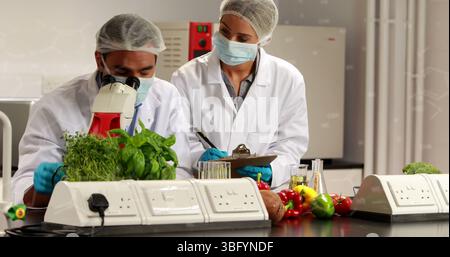 Image de formules chimiques sur divers ouvriers de laboratoire féminins et masculins portant des masques faciaux Banque D'Images