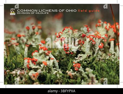 Le Common lichens of Ohio Field Guide, publié en 2015, fournit une référence complète pour identifier les diverses espèces de lichens que l’on trouve dans l’Ohio. Il comprend des descriptions détaillées et des images pour chaque espèce. Banque D'Images