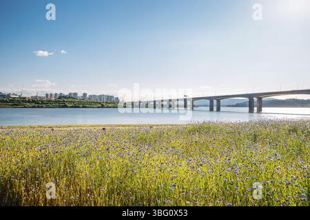 Pont MISA et Parc de la rivière Namyangju Hangang District de Sampae au printemps en corée Banque D'Images