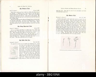 Cette page du programme de la Journée Arbor and Bird 1907 met l'accent sur l'histoire de la journée, la poésie, des conseils de plantation d'arbres et met en évidence les arbres et les oiseaux indigènes de l'Indiana. Banque D'Images