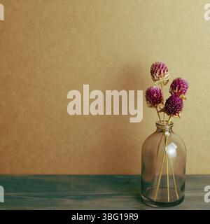 Vase de globe violet amaranth fleurs sèches sur table en bois peinte en bleu. Fond de mur brun. Intérieur intérieur. Filtre rétro vintage Banque D'Images