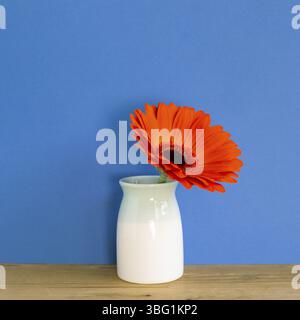 Fleur de gerbera orange dans un vase sur une table en bois avec fond bleu. Arrangement floral, espace de copie Banque D'Images Fleur de gerbera orange dans un vase sur une table en bois avec fond bleu. Arrangement floral, espace de copie Banque D'Images