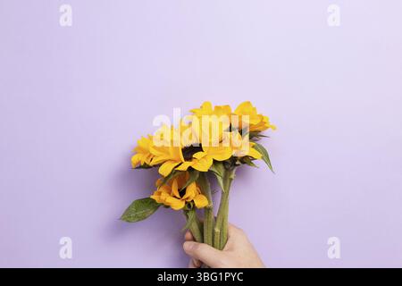Main de tenir des tournesols jaunes sur fond violet. Composition florale, plat, vue de dessus, espace de copie Banque D'Images