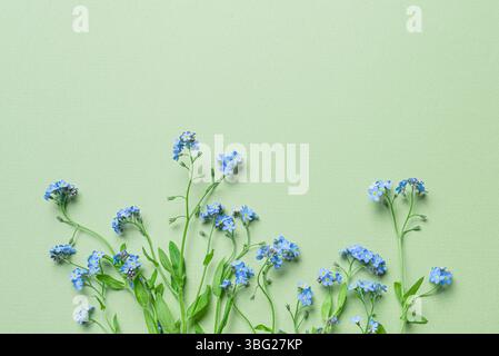 Fleurs sauvages bleues oubliez-moi-pas sur fond vert, pose plate créative, espace de copie. Conception de carte d'invitation, bannière. Banque D'Images