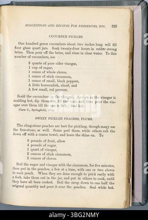 Du 1883 'Housekeepers New Cook Book', la page 236 propose des recettes de ménage et des suggestions pour la planification et la préparation des repas. Banque D'Images