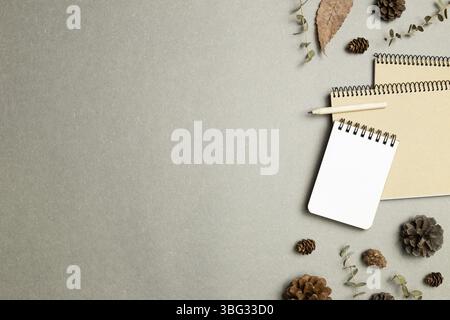 Carnets avec feuilles sèches, cônes en pin sur fond gris. pose à plat, vue de dessus, espace de copie. Lieu de travail et d'étude. Concept automne et hiver Banque D'Images
